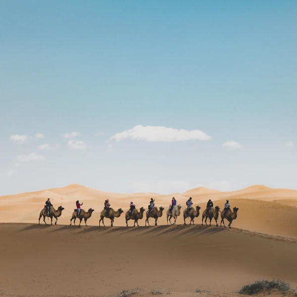 disparo vertical de personas montando camellos sobre una duna de arena en el desierto resultado